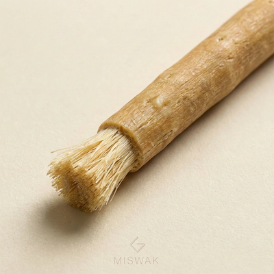 Miswak™: Prevención Antibacteriana Natural | 50% OFF