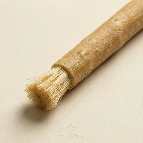 Miswak™: Prevención Antibacteriana Natural | 50% OFF