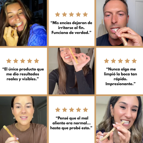 Miswak™: Prevención Antibacteriana Natural | 50% OFF