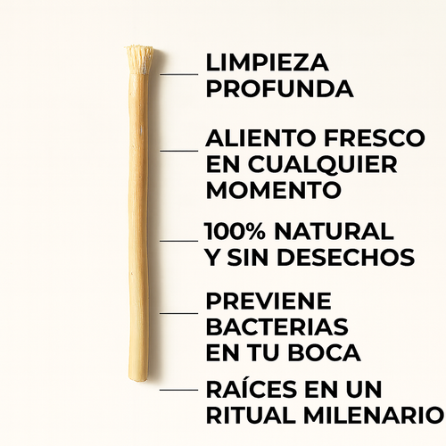 Miswak™: Prevención Antibacteriana Natural | 50% OFF