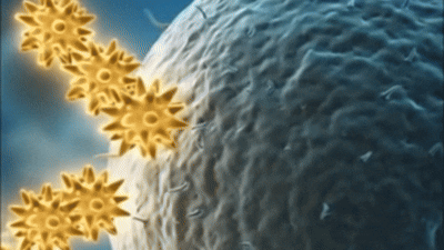 Elimina bacterias ocultas entre los dientes